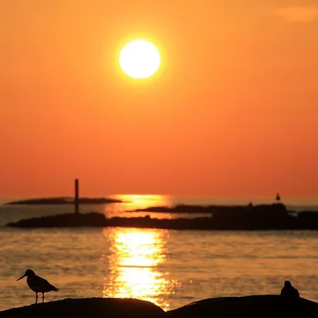 Midnattsol Rom Og 3* Bleik